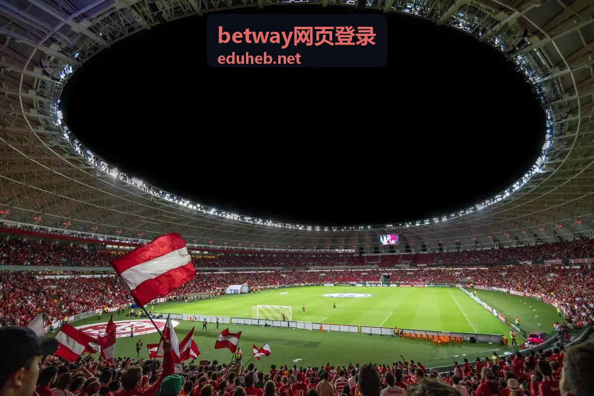 betway网页登录登录完成后的基础设置